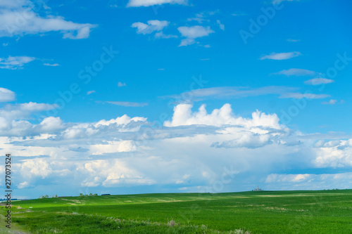 Summer outdoor fields in Alberta with clouds banks in the sky