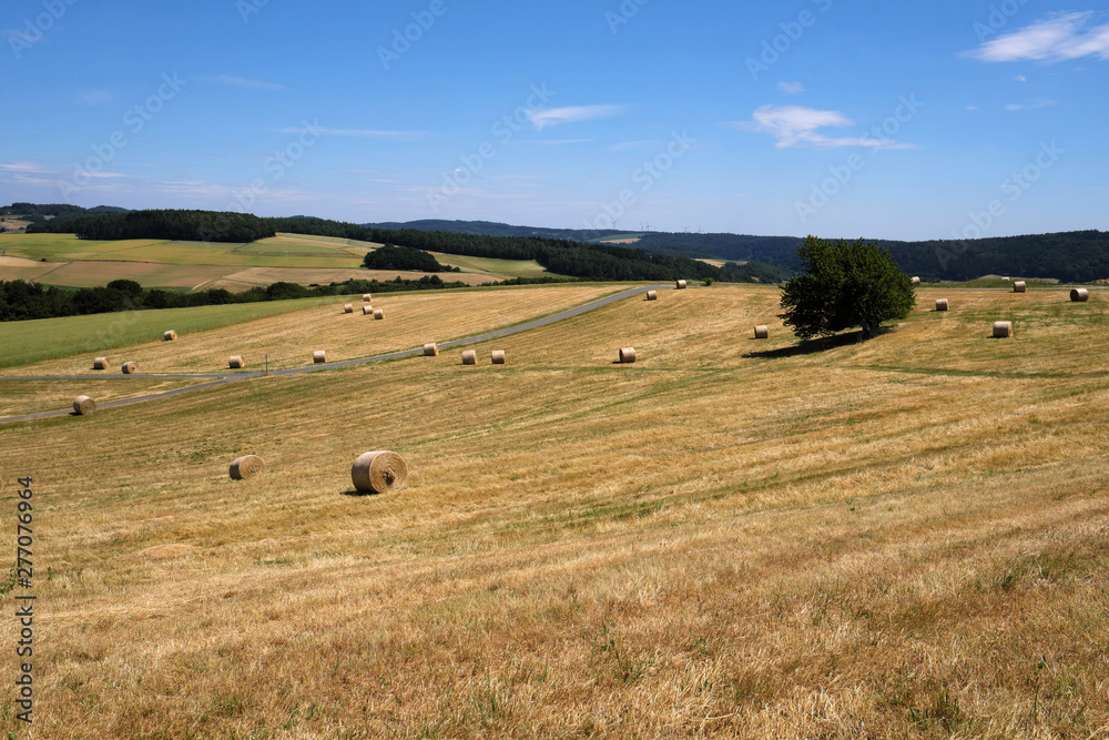 Eifellandschaft im Sommer und abgeerntete Felder mit Strohballen - Stockfoto
