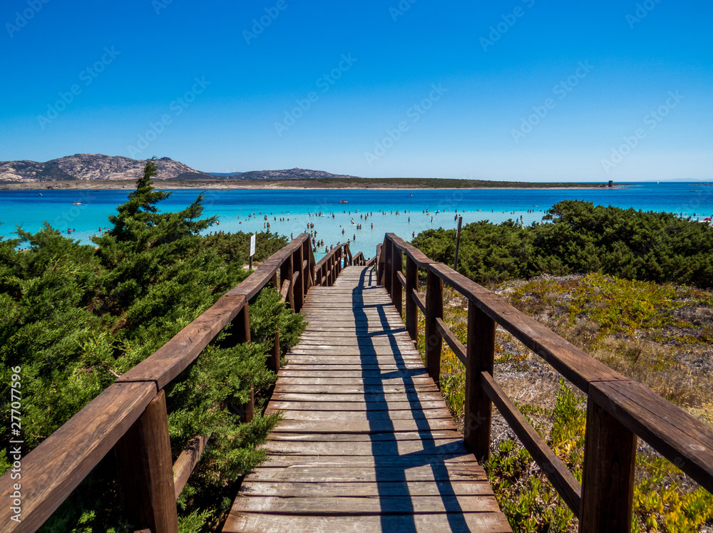 Way to paradise - Pathway leading to the amazing turquoise waters of La Pelosa Beach in Stintino, Sardinia, Italy