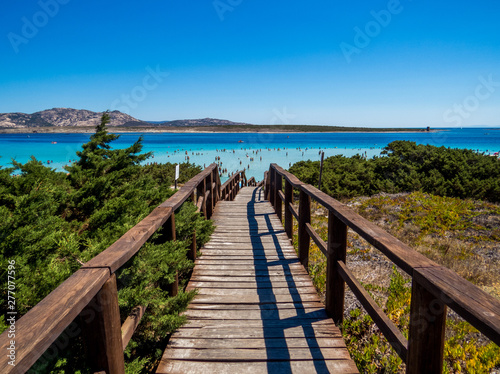 Way to paradise - Pathway leading to the amazing turquoise waters of La Pelosa Beach in Stintino  Sardinia  Italy
