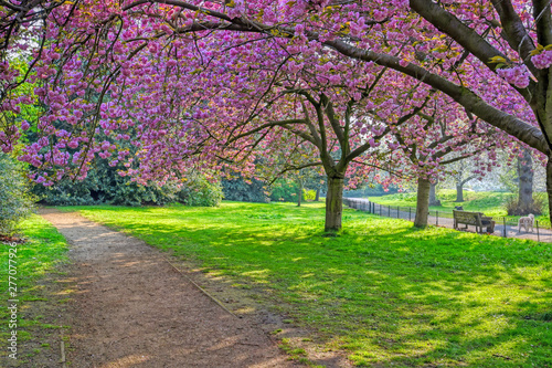 Obraz na płótnie Spring in Hyde Park located in Central London, UK. w salonie