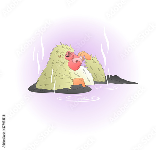 a monkey is resting in a hot thermal spring