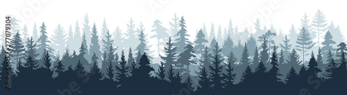 Pine forest. Silhouette wood tree background, wild nature woodland landscape. Vector image foggy tall trees misty engraved scene