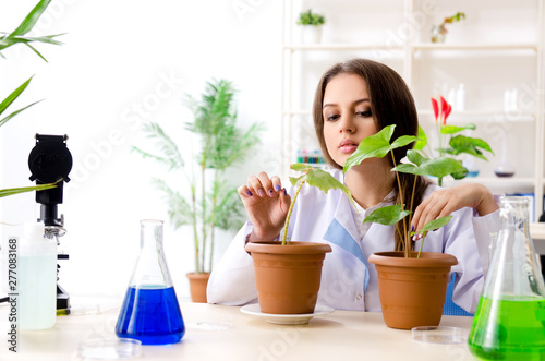 Young beautiful biotechnology chemist working in the lab 