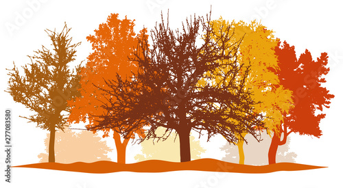 Silhouettes of autumn trees (park, forest) bright colors. Silhouettes of bare trees without foliage. Vector illustration