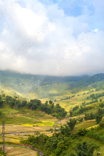 Golden Season in North Western , Vietnam. The terraces here have a long history, and are very beautiful. 
