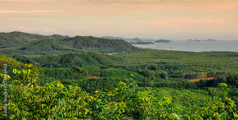 Mountain view panorama with green tree