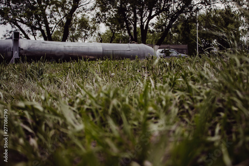 grass and water