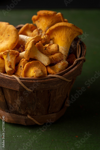 Fresh chanterelles mushrooms in basket