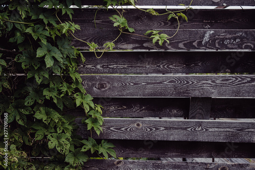 old wall of house