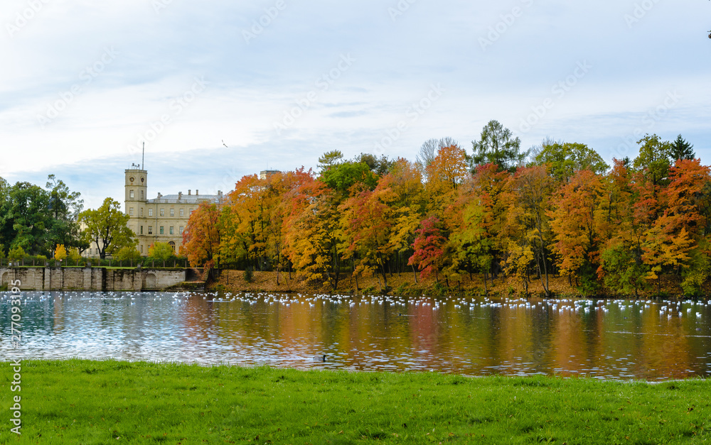 Green grass meadow on the shore of the lake, a wall of Golden autumn trees and an old Palace on the other side, blue water in the lake.