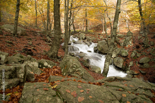 Mountain river in Montseny photo