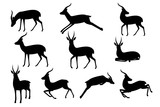 Black silhouette set of african wild black-tailed gazelle with long horns cartoon animal design flat vector illustration on white background side view antelope