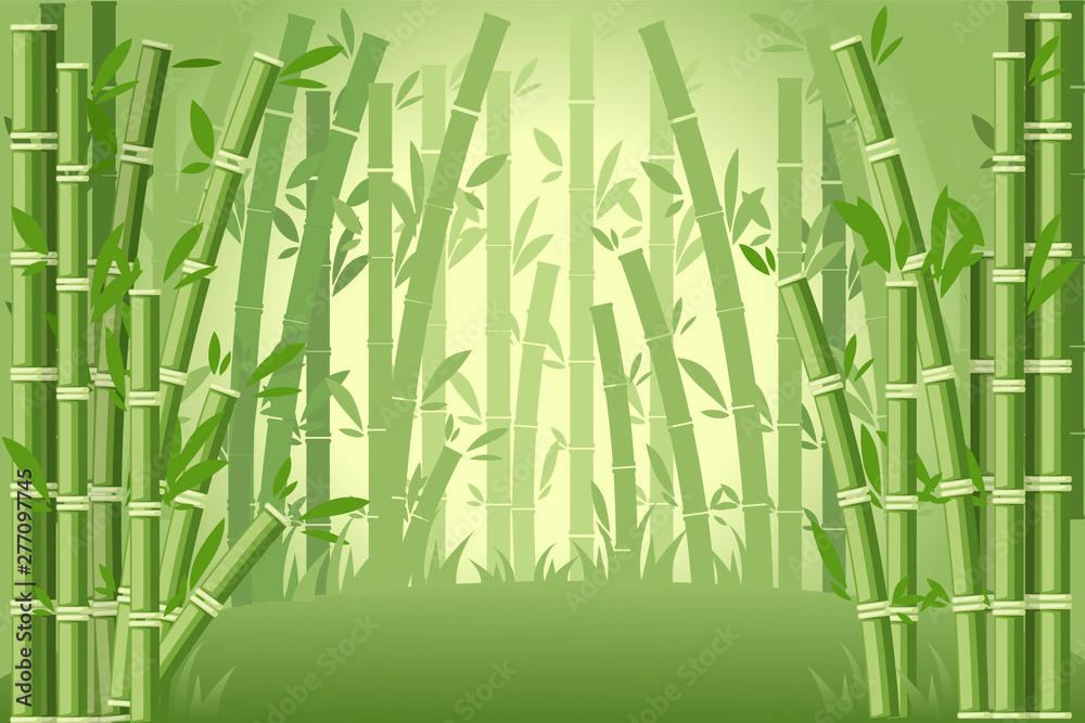 Bamboo trees asian forest landscape flat vector illustration Bamboo trees asian forest landscape flat vector illustration