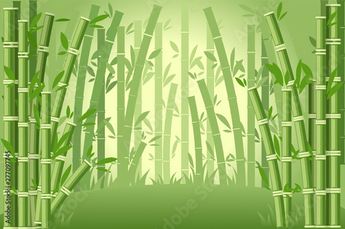 Bamboo trees asian forest landscape flat vector illustration © An-Maler