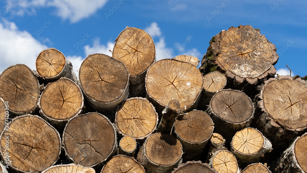 logs against blue sky. firewood. woodpile close up. wood for fireplace. log surface background. logs against blue sky. firewood. woodpile close up. wood for fireplace. log surface background.