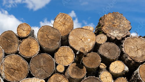 logs against blue sky. firewood. woodpile close up. wood for fireplace. log surface background.