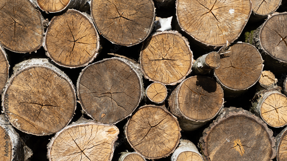 log surface. firewood for the winter. pile of firewood. wood for fireplace. stack of logs. log surface. firewood for the winter. pile of firewood. wood for fireplace. stack of logs.
