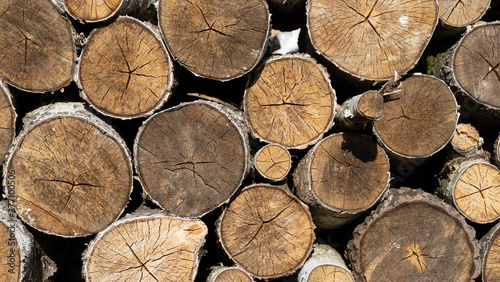 log surface. firewood for the winter. pile of firewood. wood for fireplace. stack of logs.