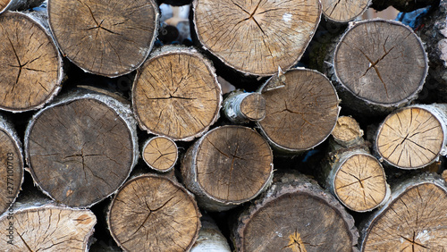 Fototapeta Naklejka Na Ścianę i Meble -  log surface. firewood for the winter. pile of firewood. wood for fireplace. stack of logs.