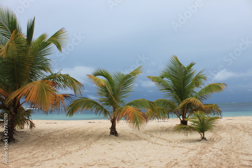Fototapeta punta cana