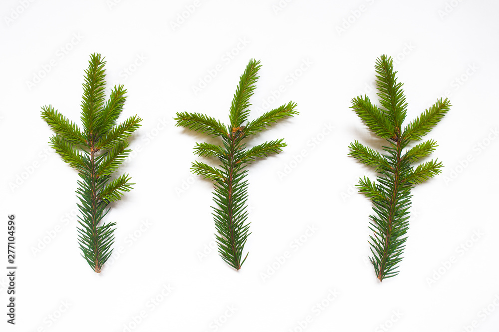 White isolated minimalistic background with branch of fir-tree. Place for text. Christmas concept White isolated minimalistic background with branch of fir-tree. Place for text. Christmas concept