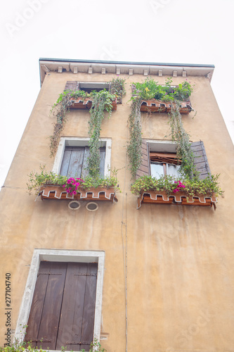 house ornaments with flower pots on the windows