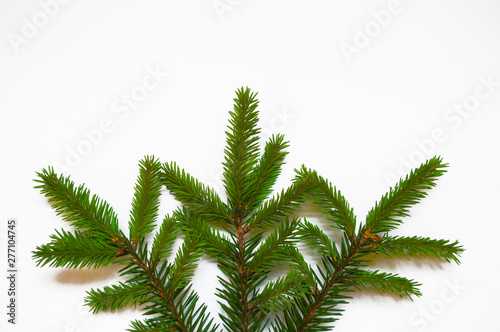 White isolated minimalistic background with branch of fir-tree. Top view. Place for text. Christmas concept