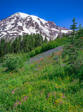 Mountain with wildflowers