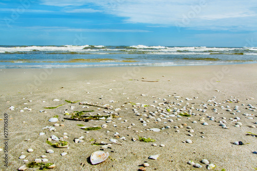 Fototapeta Naklejka Na Ścianę i Meble -  plaża, morze, muszelki, piękny krajobraz