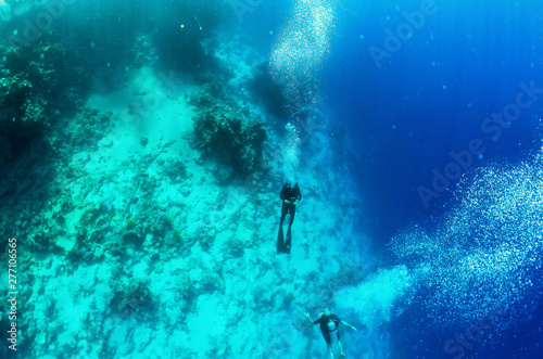 Divers sank to the bottom of the red sea