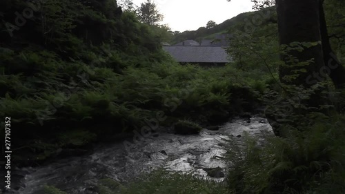 UK June 2019 - A fast flowing stream past dense green ferns and homes nestled in an ancient forest at dusk. photo