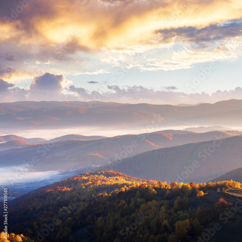 sunrise in mountains. beautiful autumn landscape with fog in the valley. ridge in the distance view from the hill. cloudy glowing sky. © Pellinni