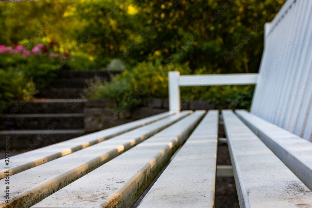 white dirty park bench, close up and diminishing perspective white dirty park bench, close up and diminishing perspective