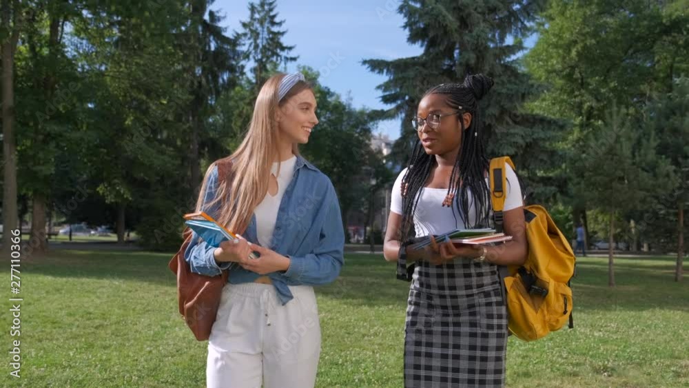 Outdoors portrait of two female multinational friends. Girls walk in the park in the summer. Student lifestyle, friendship concept Outdoors portrait of two female multinational friends. Girls walk in the park in the summer. Student lifestyle, friendship concept