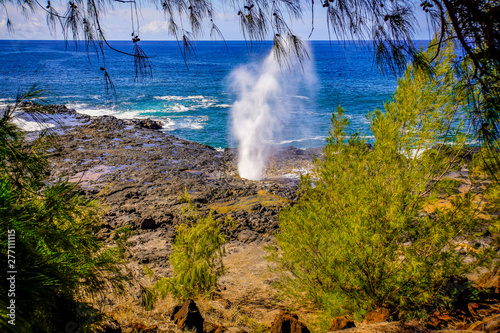 Fotografija blowhole at shoreline