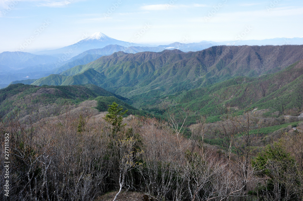 雁ヶ腹摺山から眺める富士山 雁ヶ腹摺山から眺める富士山