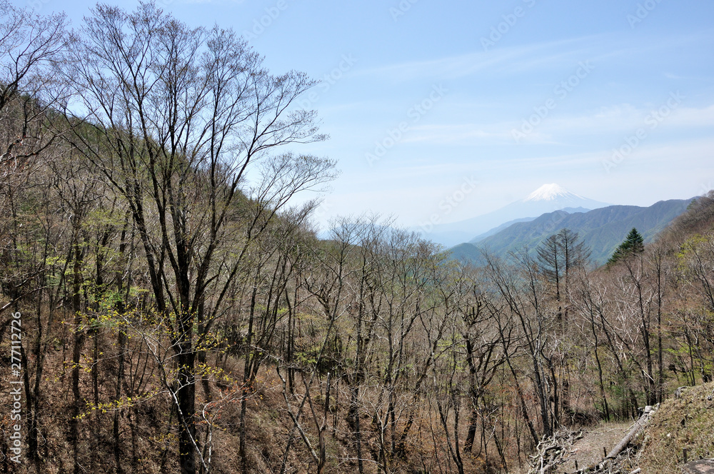 大峠より富士山