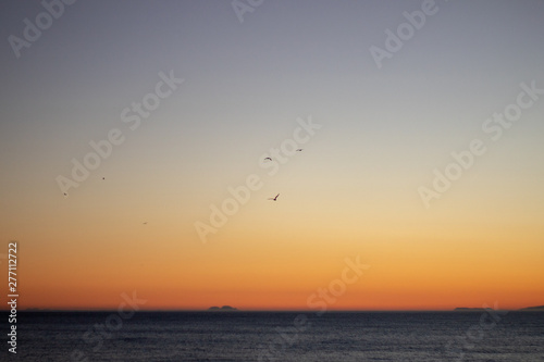 Seagulls flying over the sea at sunset with the background of the mountains of South Africa © Photowii18 
