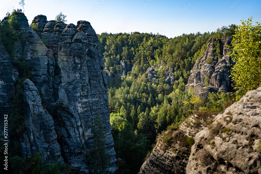 Fototapeta premium sandstone rock formation in Saxon Switzerland