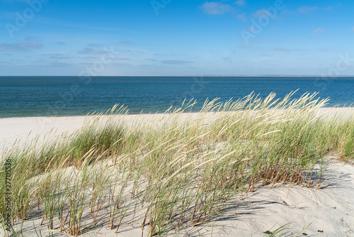 Dune with beach grass. © ryszard filipowicz