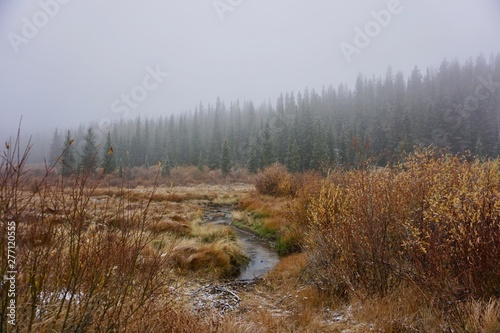 Foggy Creek 
