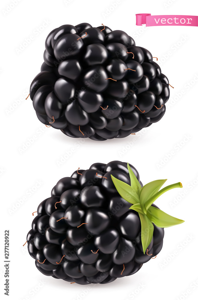 Blackberry, 3d realistic vector icon Blackberry, 3d realistic vector icon
