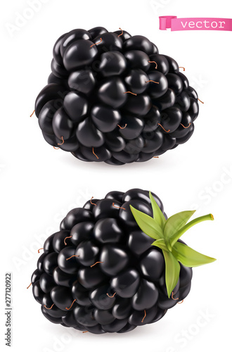 Blackberry, 3d realistic vector icon