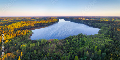 Forest lake in the morning photo