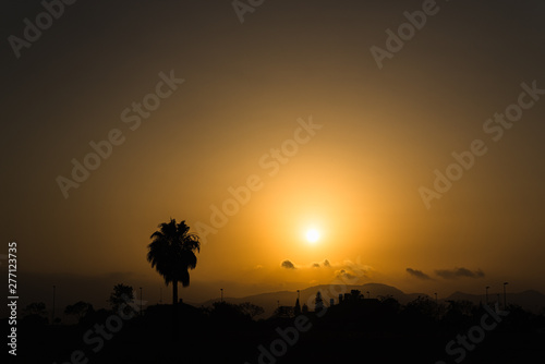 Silhouette of a desert landscape with a palm tree against the sun at sunset, dark orange background. © Joaquin Corbalan