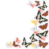 Frame of peacock butterflies and swallowtail flying. Red, orange and yellow colors. Isolated on white background. Vector graphics.