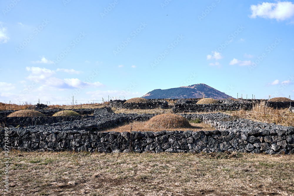 A view of Jeju Island's traditional form of graves surrounded by rocks for blocking the strong winds of Jeju Island, South Korea.