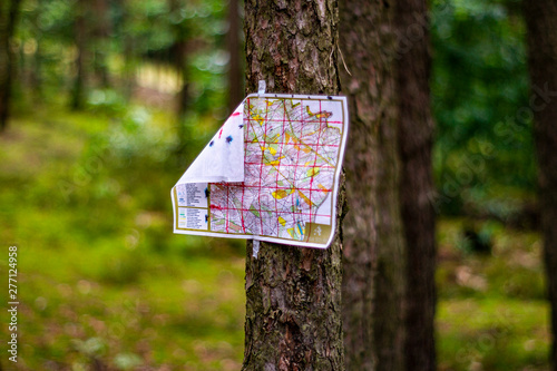 Mapa w lesie