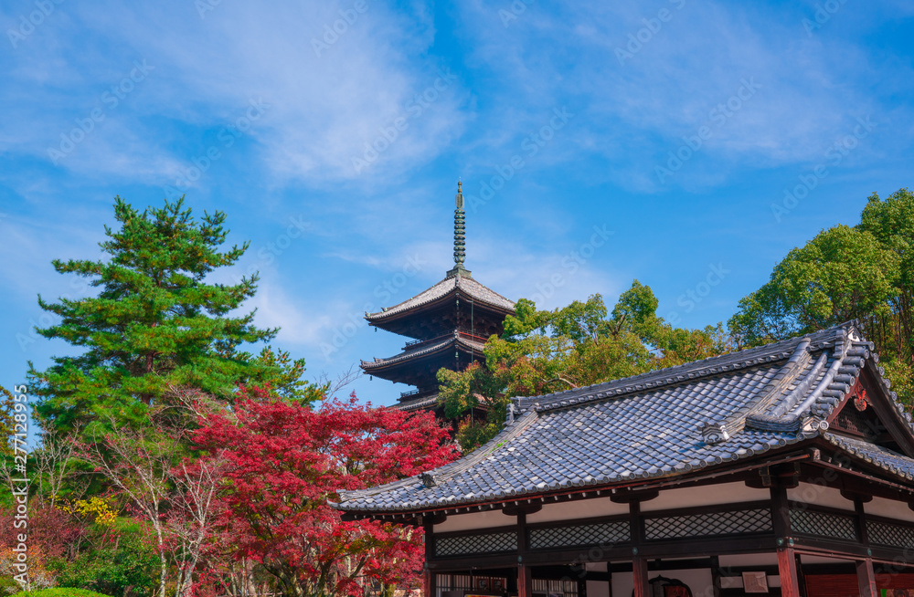 京都　仁和寺の紅葉